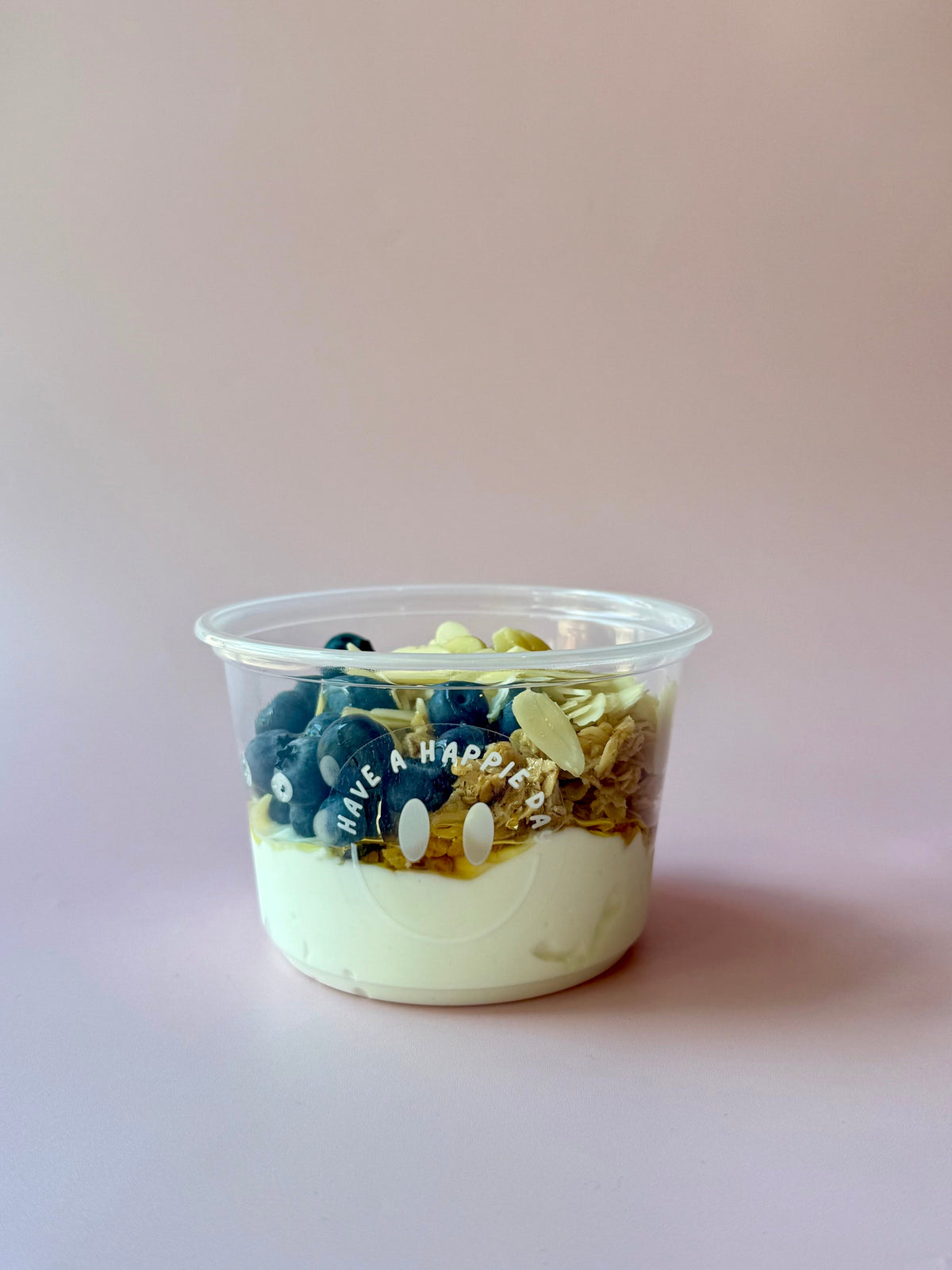 Blueberry Honey Yogurt Bowl (GF)